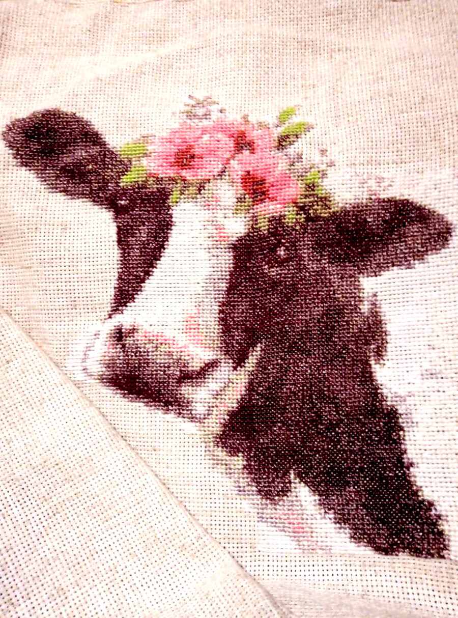 Kumpletong Cow na may bulaklak disenyo sa cross-stitching 