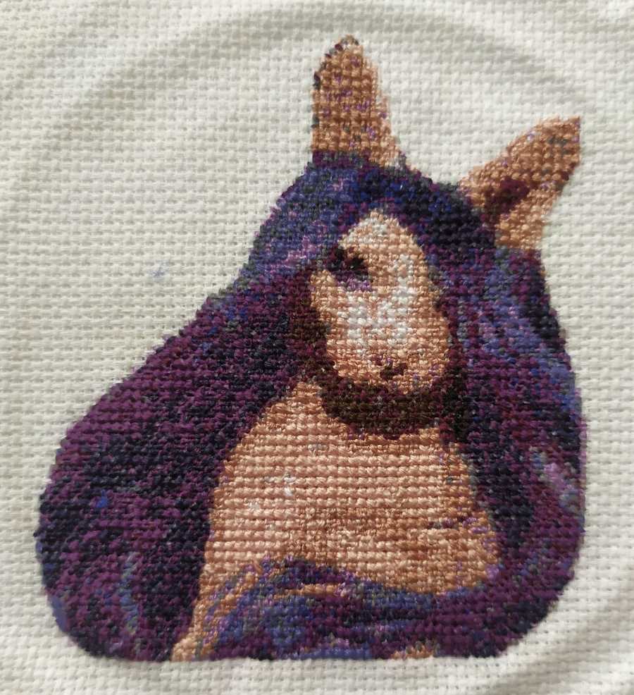 Compléter le motif de point de croix Chat sphinx sans poils portant une perruque violette