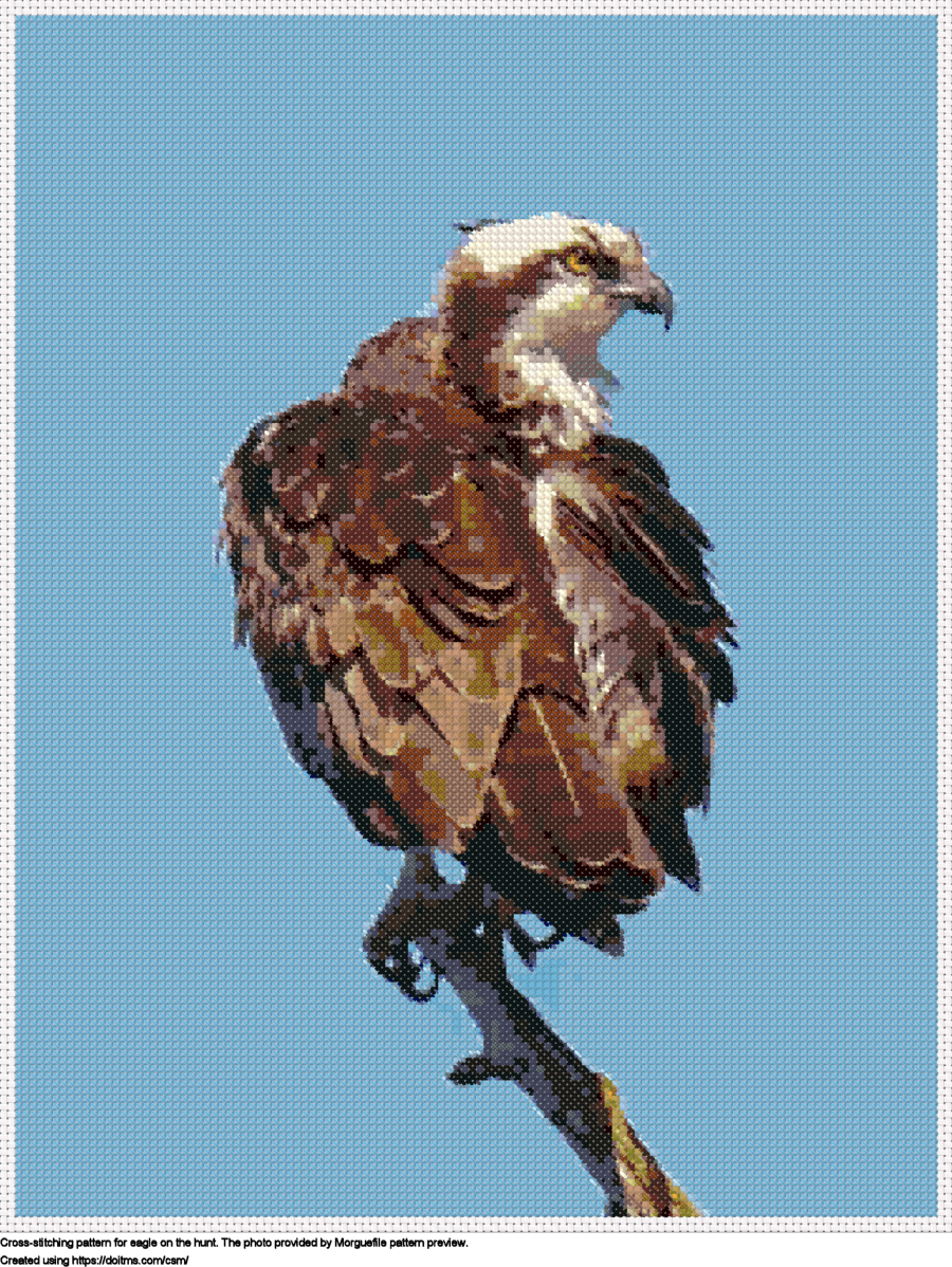 Free Eagle Cross Stitching Design