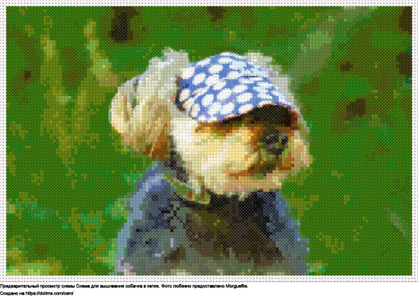 Бесплатная схема Собачка в кепке для вышивания крестиком