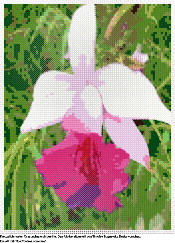 FreieArundina Orchidee lila Kreuzstich-Design