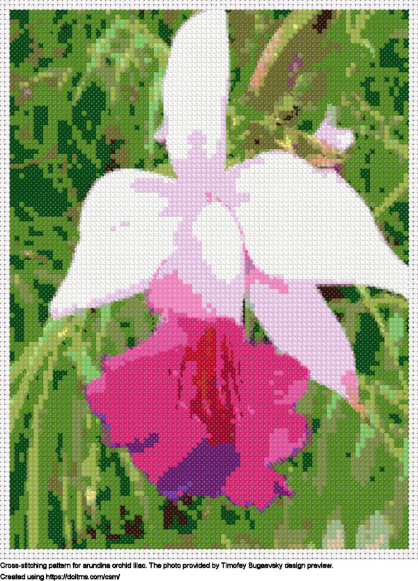 Free Arundina Orchid lilac cross-stitching design
