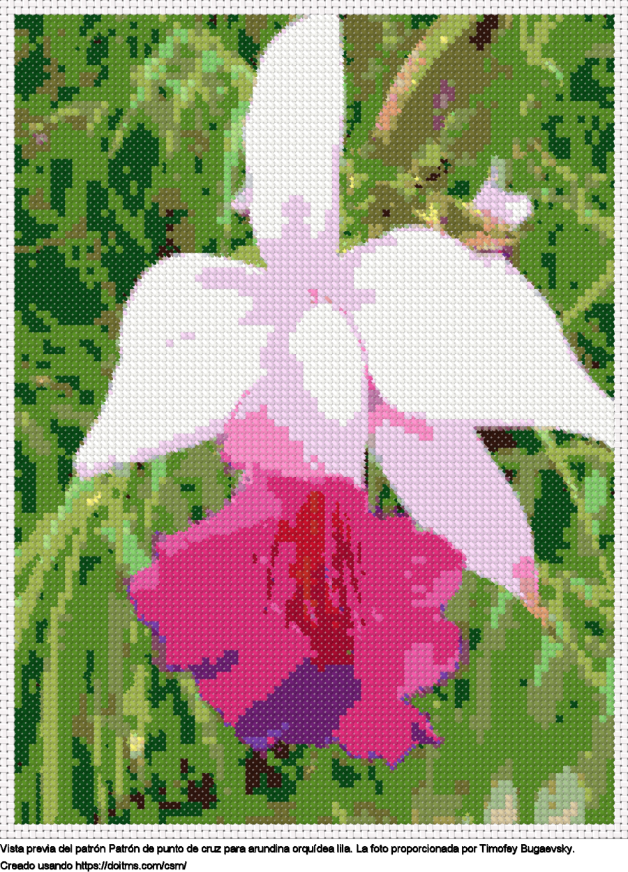 Diseño de punto de cruz Arundina orquídea lila gratis