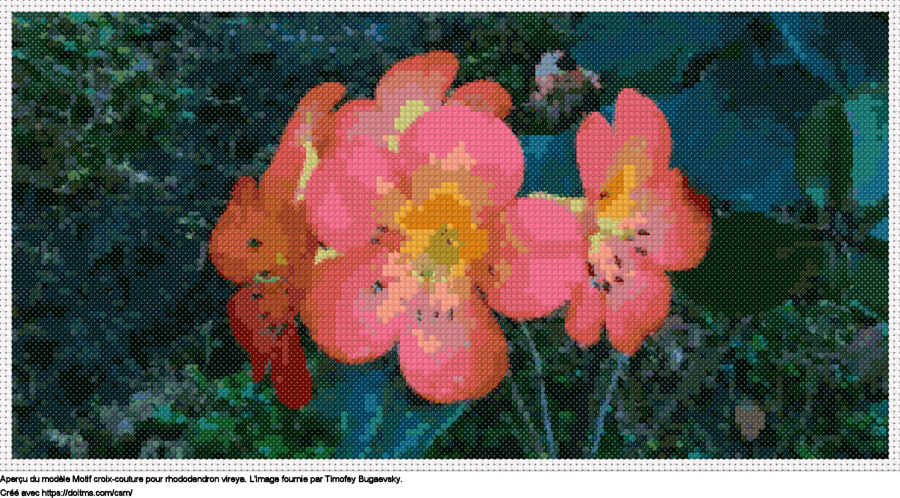 Motif de point de croix Rhododendron Vireya gratuit