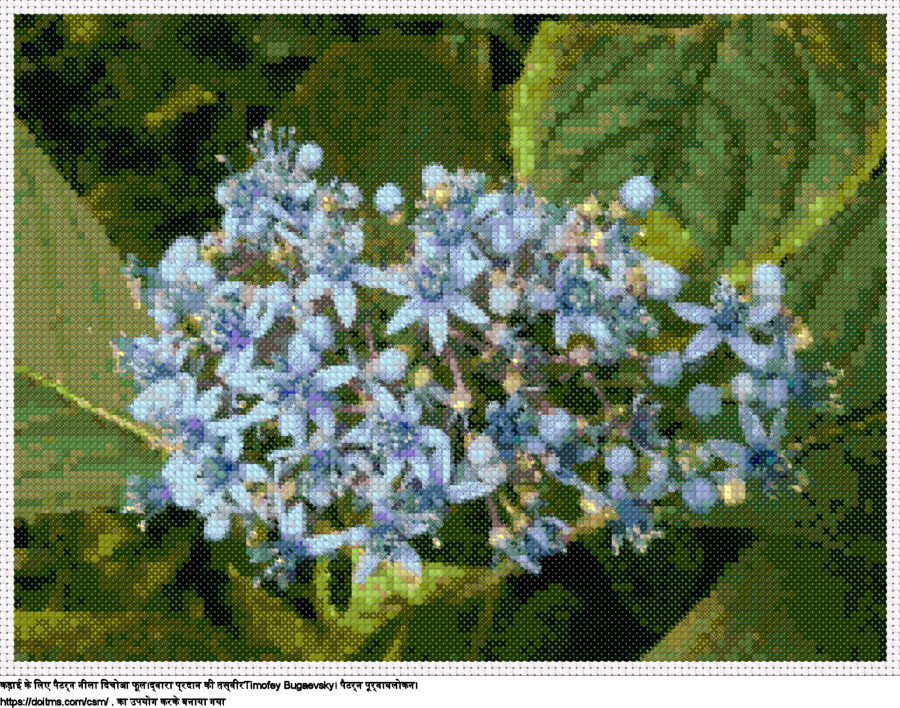 फ्री नीला दिचोआ फूल क्रॉस-सिलाई डिजाइन