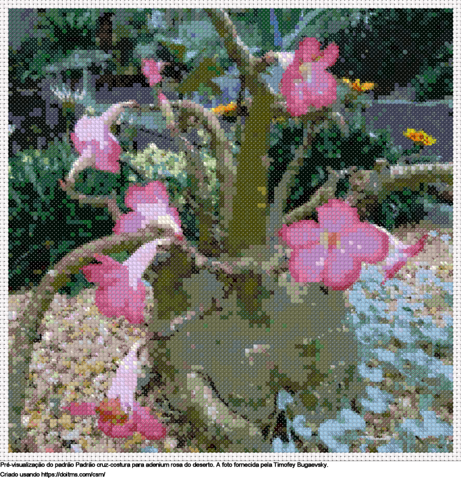 Desenhos Adenium Rosa do Deserto de ponto-cruz gratuitos