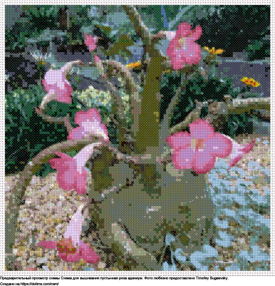 Бесплатная схема Пустынная Роза Адениум для вышивания крестиком