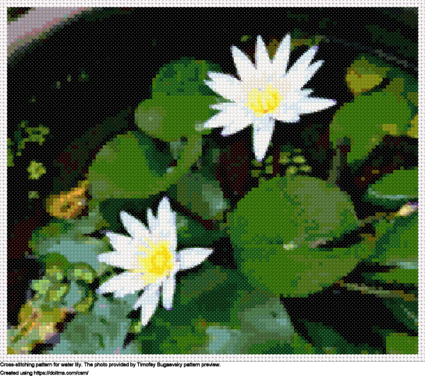 Nice-Looking Water Lily Surrounded By Green Plants