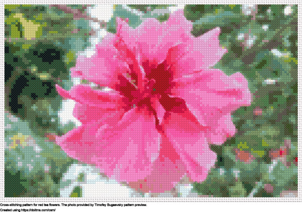 Free Red tea flowers cross-stitching design