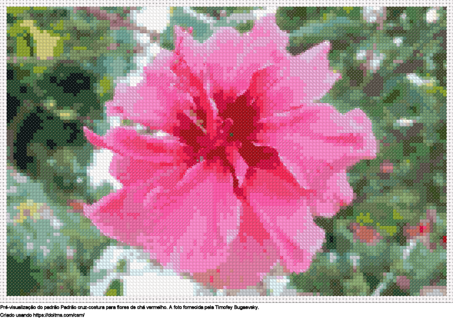 Desenhos flores de chá vermelho de ponto-cruz gratuitos