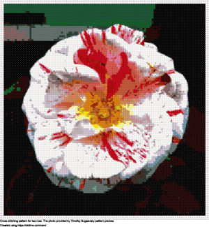 Free tea rose cross-stitching design