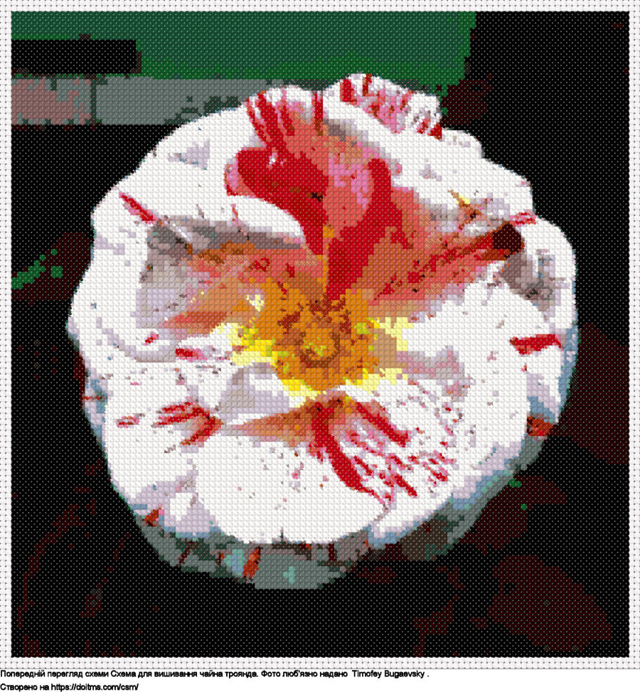 Безкоштовна схема Чайна троянда для вишивання хрестиком