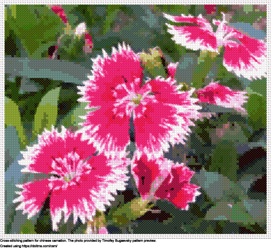 Free Chinese carnation cross-stitching design