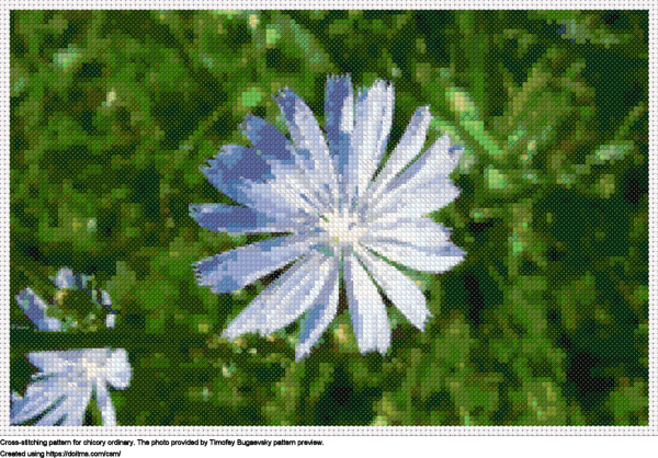 Free Chicory ordinary cross-stitching design