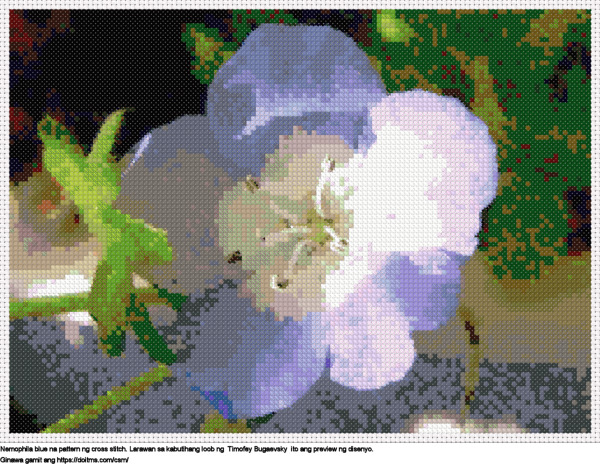 Nemophila blue Libreng Nemophila blue disenyo para sa cross-stitching