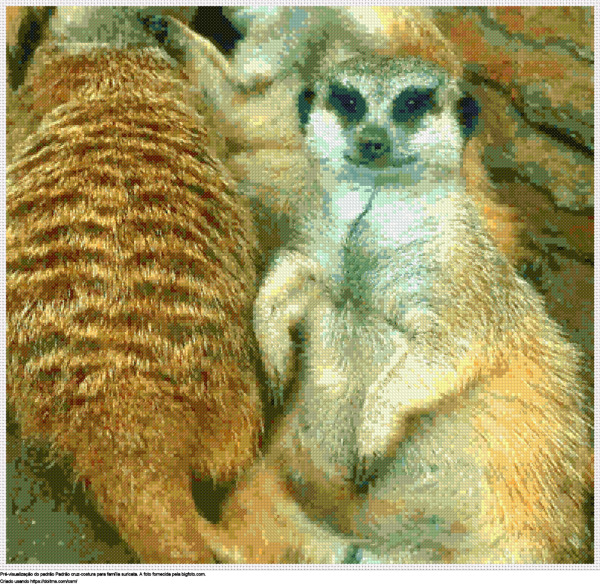 Desenhos família suricata de ponto-cruz gratuitos