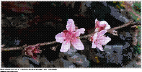 Безкоштовна схема Вишні цвітуть взимку для вишивання хрестиком