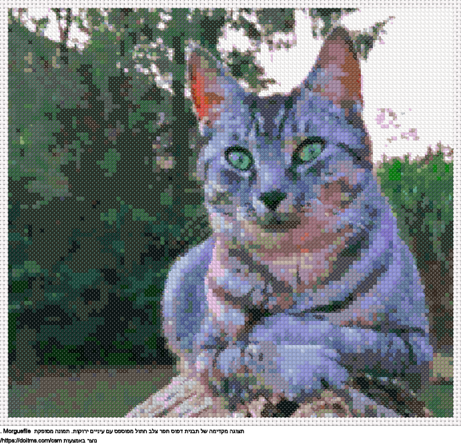 עיצוב רקמת צלבים חתול מפוספס עם עיניים ירוקות בחינם