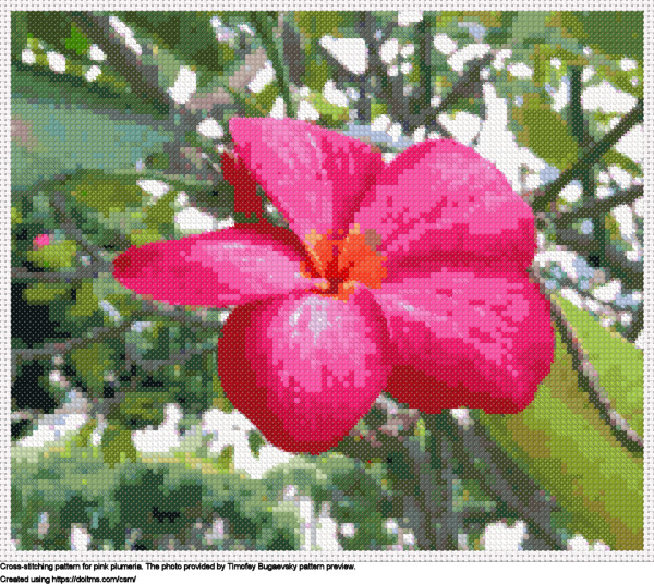 Nice-Looking Pink Plumeria Resting Calmly In A Branch Under A Sunny Day