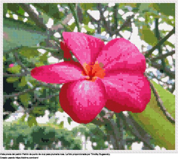 Plumeria Rosa Agradable Descansando En Una Rama Bajo Un Día Soleado