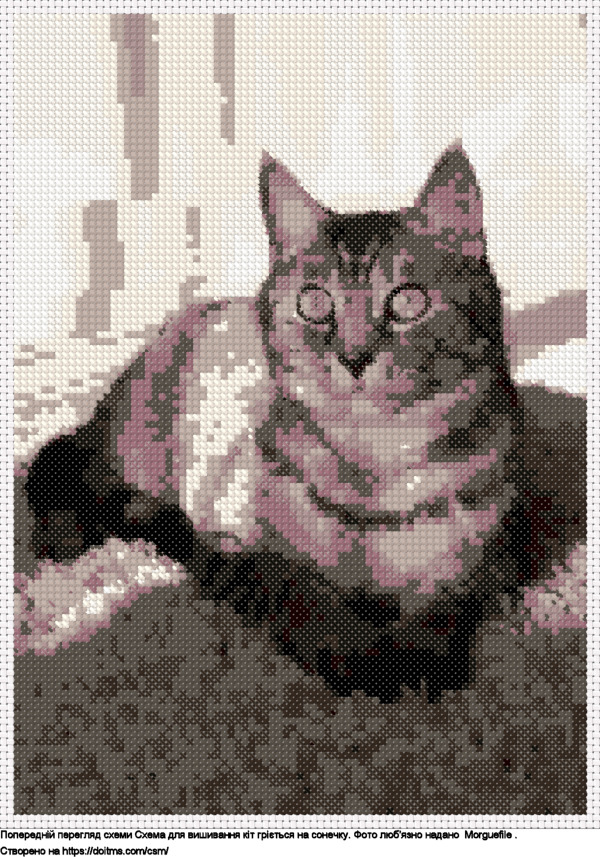 Безкоштовна схема Кіт гріється на сонечку для вишивання хрестиком