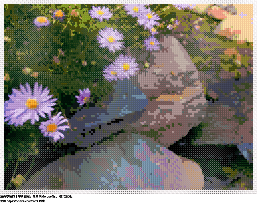 蓝山翠菊 免费 蓝山翠菊 十字绣设计