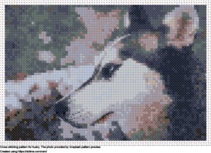 Free Husky cross-stitching design