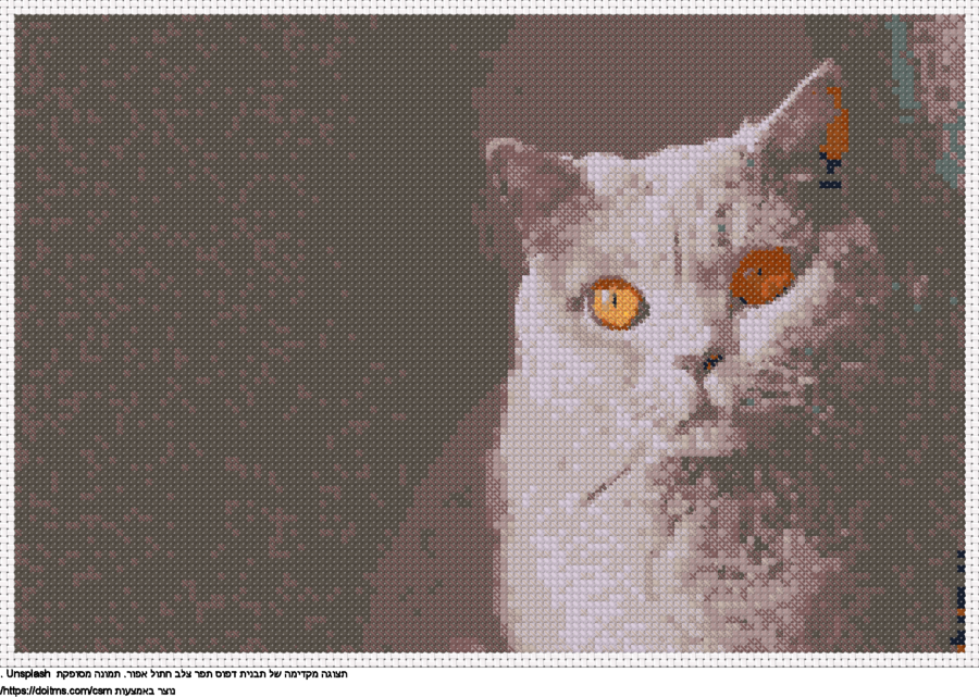 עיצוב רקמת צלבים חתול אפור בחינם