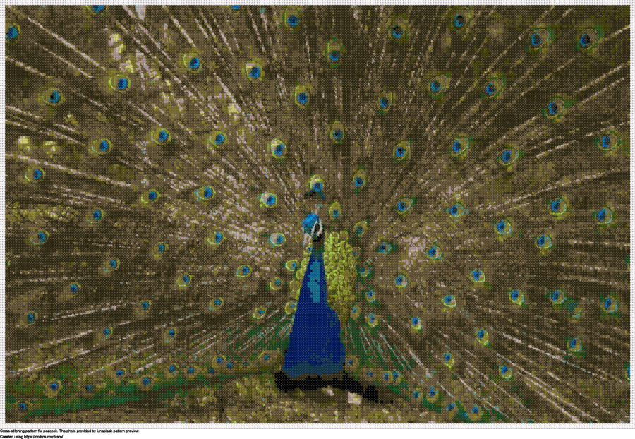 Free Peacock cross-stitching design