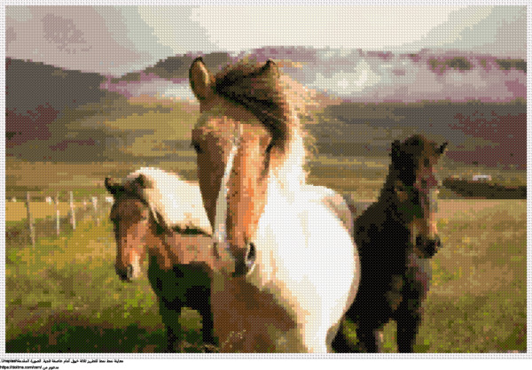  ثلاثة خيول أمام عاصفة ثلجية تصميم تطريز مجاني 