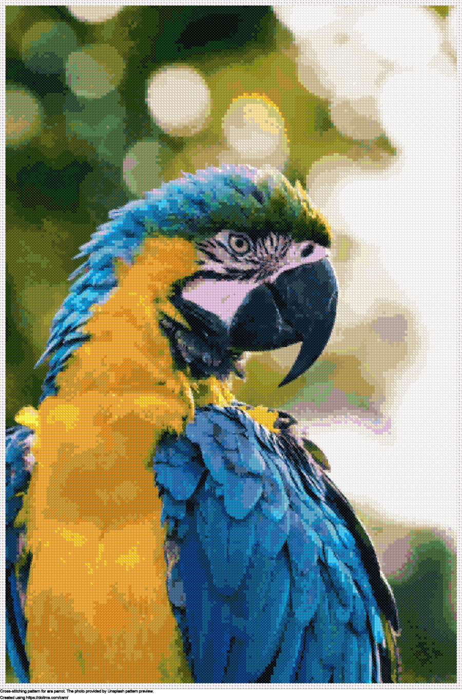 Free Ara parrot cross-stitching design