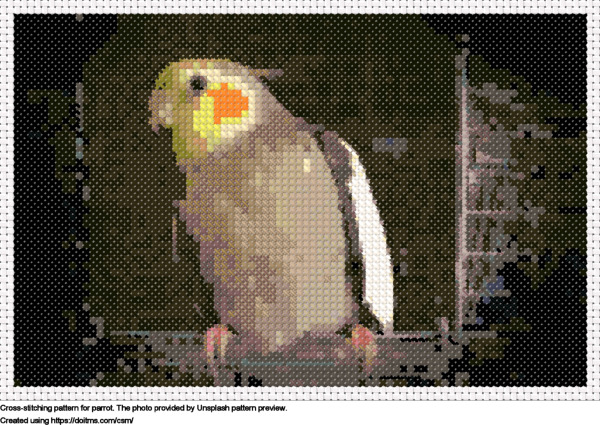 Free Parrot cross-stitching design