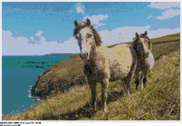 免費 海邊的馬和小馬駒 十字縫設計