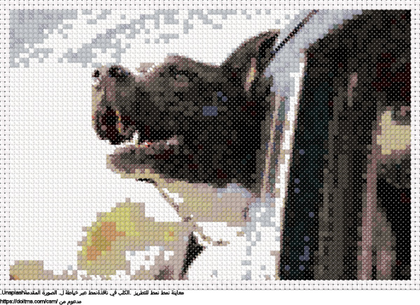  .الكلب في نافذةنمط عبر خياطة ل تصميم تطريز مجاني 