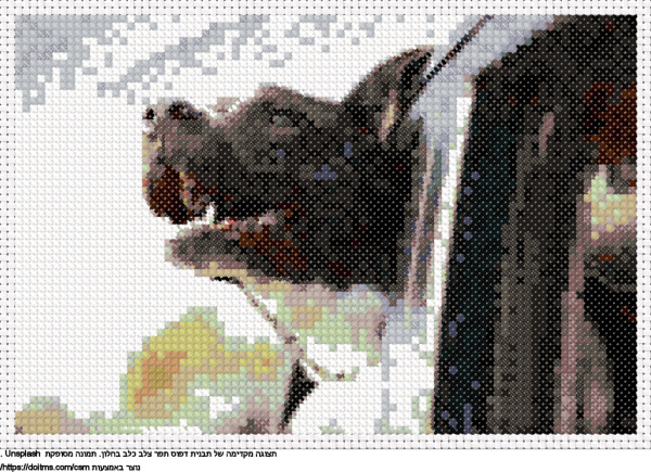 עיצוב רקמת צלבים כלב בחלון בחינם