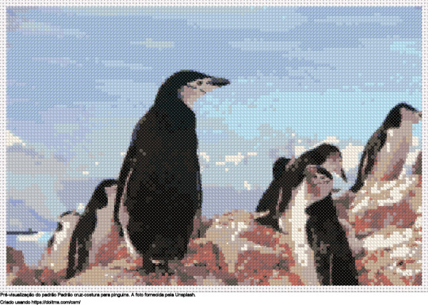 Desenhos pinguins de ponto-cruz gratuitos