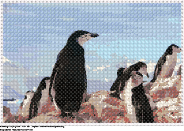 Gratis Pingviner korsstygnsdesign