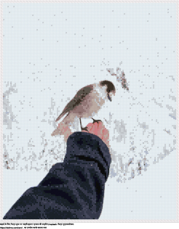 फ्री हाथ पर पक्षी क्रॉस-सिलाई डिजाइन