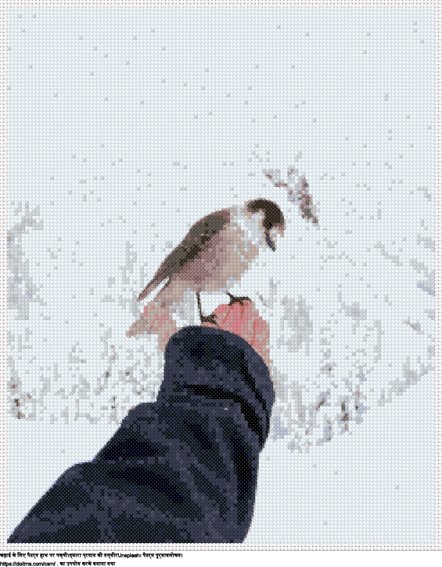 हाथ पर पक्षी
