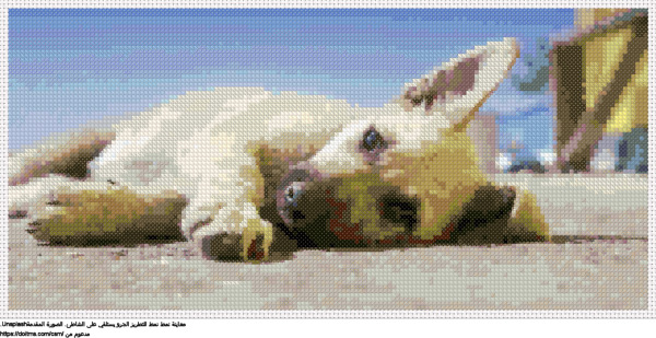  الجرو يستلقي على الشاطئ تصميم تطريز مجاني 