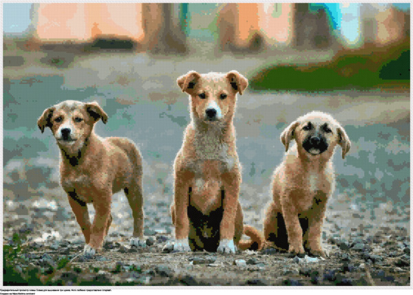 Бесплатная схема Три щенка для вышивания крестиком