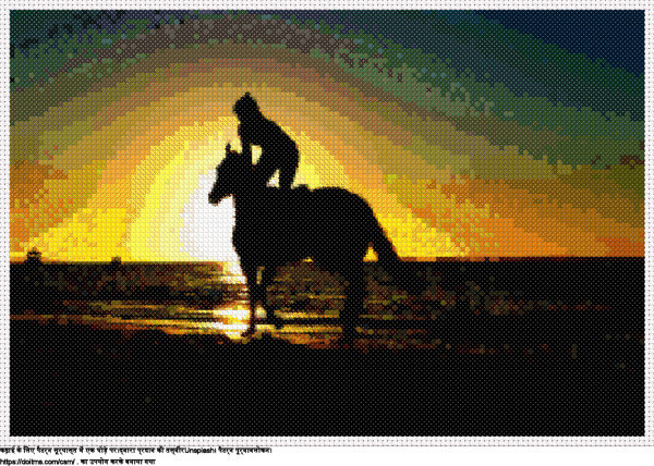 फ्री सूर्यास्त में एक घोड़े पर क्रॉस-सिलाई डिजाइन