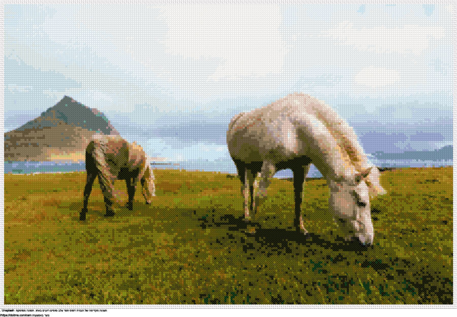 עיצוב רקמת צלבים סוסים רועים באחו בחינם