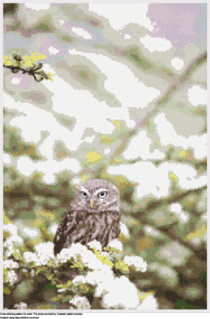 Free Owlet cross-stitching design