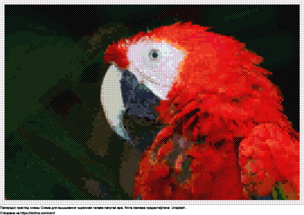 Бясплатная схема Чырвоная галава папугая ара для вышыўкі крыжыкам