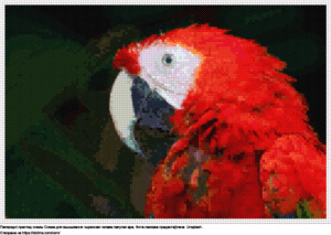 Бясплатная схема Чырвоная галава папугая ара для вышыўкі крыжыкам