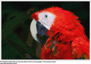 Desenhos Cabeça vermelha de uma arara-papagaio de ponto-cruz gratuitos