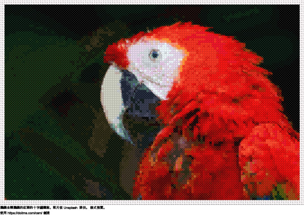 免費 鸚鵡金剛鸚鵡的紅頭 十字縫設計