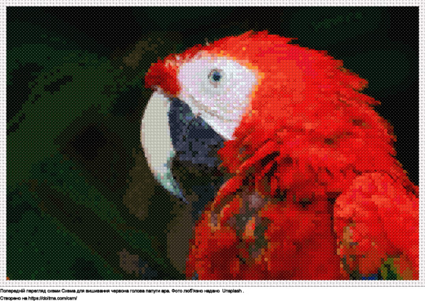 Безкоштовна схема Червона голова папуги ара для вишивання хрестиком
