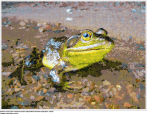 Бясплатная схема Цікаўная жаба для вышыўкі крыжыкам